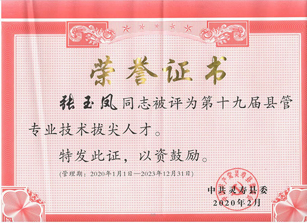 榮譽證書